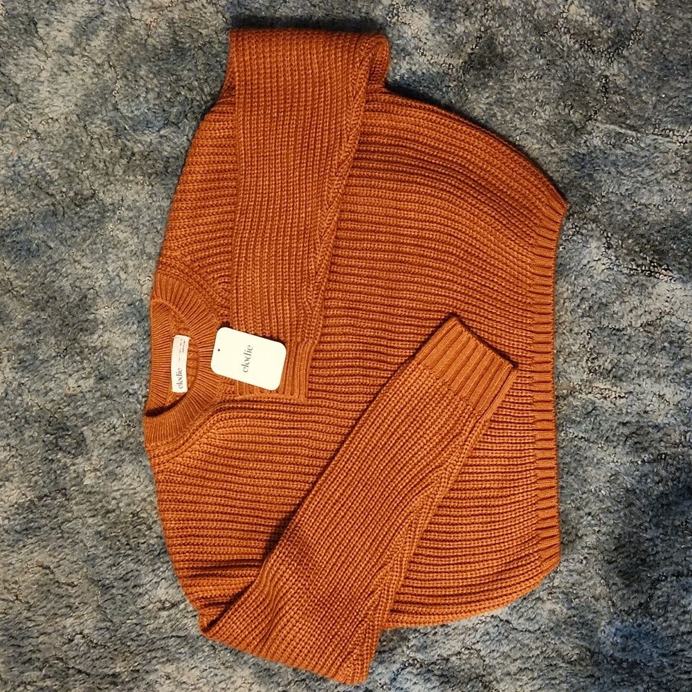 Elodie NWT Women's Rust Crewneck Cropped Long Sleeve Chunky Knit Sweater Large - Picture 3 of 4